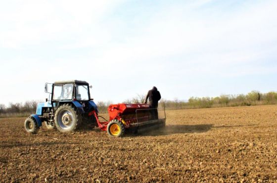 ფერმერები 200 ლარიანი ვაუჩერის გამოყენებას აგრომაღაზიაში შეძლებენ