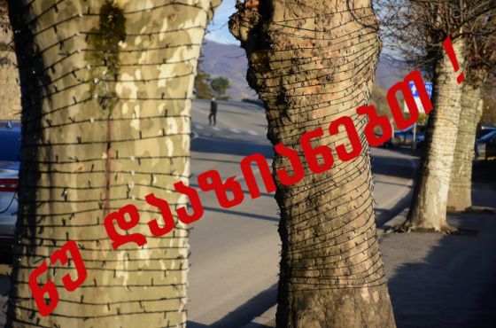 საჩხერეში ჯერ კიდევ გაუნათებელი საახალწლო ილუმინაციები დააზიანეს