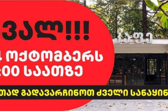 ,,სავანეს’’ გადასარჩენად ქუთაისის საქალაქო სასამართლოსთან აქცია გაიმართება