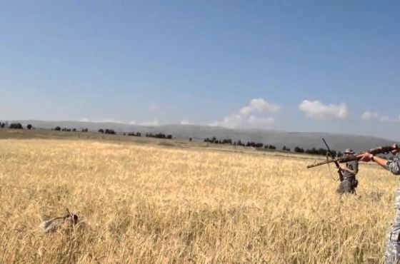 იმერეთში უკანონო ნადირობის 26 ფაქტი გამოვლინდა 