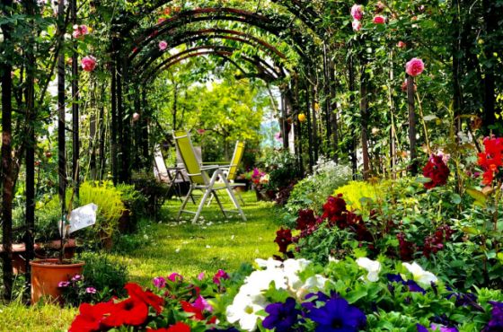 ყვავილების „პანდემია“