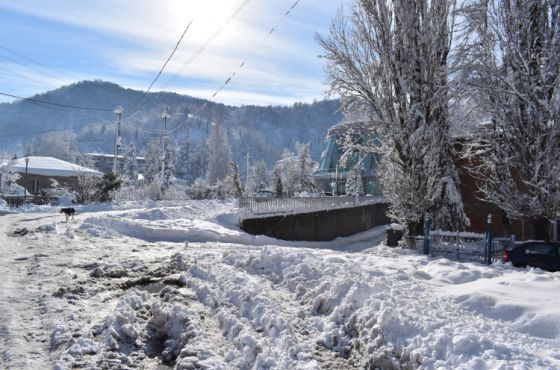 დაწყვეტილი ელექტროსადენები და გაუწმინდავი გზები - ხარაგაულის მერია პრობლემებს ვერ უმკლავდება 