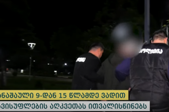 შსს-მ ვანის სკოლის მიკროავტობუსის მძღოლი დააკავა 