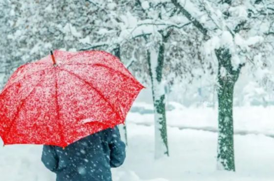 ძლიერი თოვა, ქარბუქი, ნისლი - უახლოესი დღეების პროგნოზი საქართველოში