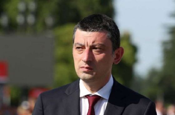 "მგონია, რომ ხელისუფლება შეცდომას უშვებს" - გახარია ნამახვანჰესზე