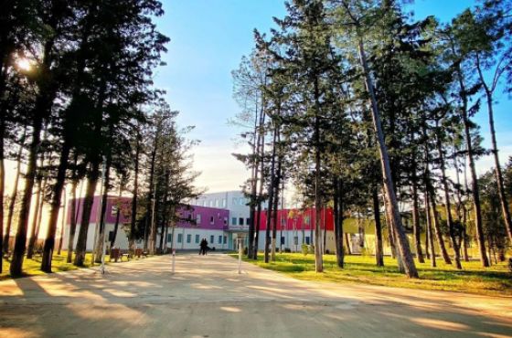 დღეს იმერეთში კორონავირუსის 637 შემთხვევა დაფიქსირდა