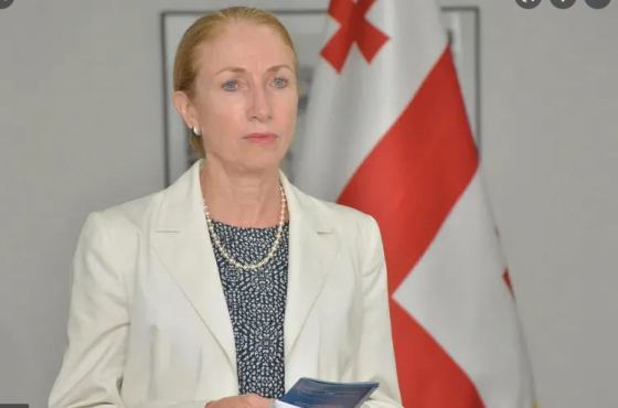 "აშშ არ ცდილობს საქართველოს ჩათრევას უკრაინის წინააღმდეგ რუსეთის ომში"