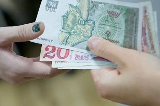 იანვრიდან Საჯარო სექტორში დასაქმებულებს ხელფასი ეზრდებათ