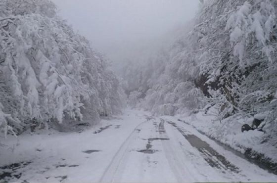 დღეს საქართველოს ზოგიერთ რეგიონში ძლიერი თოვაა მოსალოდნელი