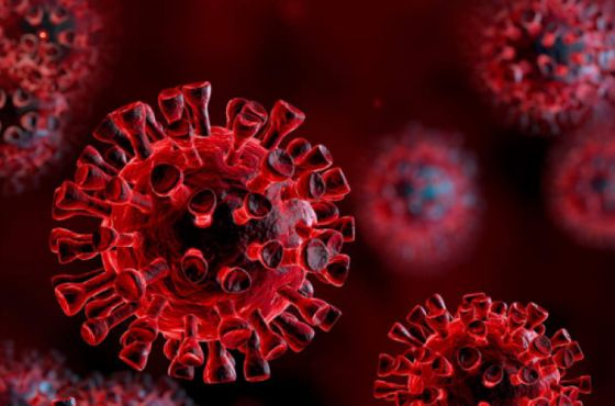 კორონავირუსის 2 თებერვლის სტატისტიკა