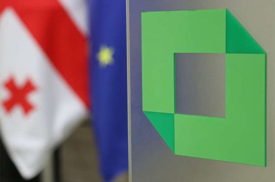 პარლამენტის არჩევნების საბოლოო შედეგები გამოქვეყნდა