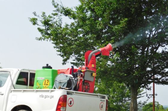 დასავლეთ საქართველოში ფაროსანას საწინააღმდეგოდ წერტილოვანი წამლობები დაიწყო 