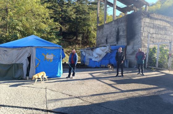 რატომ ენდობიან "შუქრუთელები" ისევ ხელისუფლებას?! 