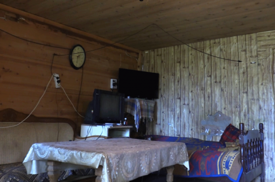 ეკომიგრაცია  ქართულად  და  უსტატუსო  ეკომიგრანტები 