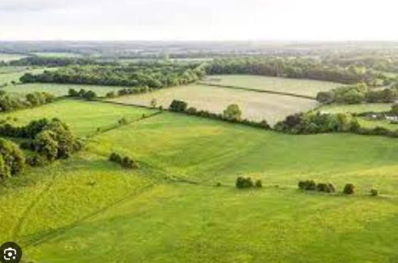 რა უნდა იცოდეთ მიწის უფასო რეგისტრაციის დროს