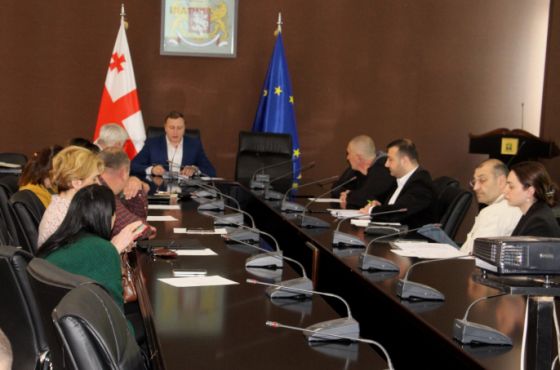 ქუთაისის მერიამ კულტურის განვითარების სტრატეგიაზე  მუშაობა დაასრულა 