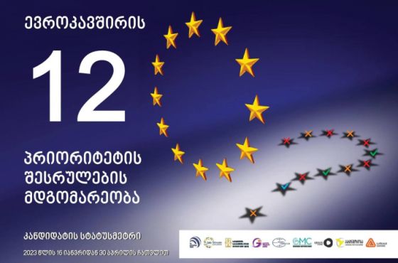 "EU-ის რეკომენდაციებიდან სრულად შესრულებულია მხოლოდ ერთი პირობა"- NGO-ები