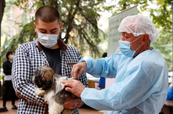 ცოფთან ბრძოლის მსოფლიო დღესთან დაკავშირებით, ქუთაისში, უფასო ვაქცინაცია ჩატარდება