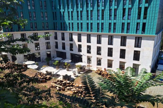 ქუთაისში, კედრის ხეების გაჩეხვის შემდეგ, ტერიტორიას ყიდიან