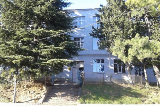 ჰიგიენური საშუალებების შესაძენად დაფინანსება ქუთაისში 8 სკოლას გაეზრდება