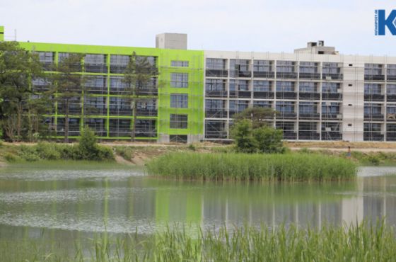 ქუთაისის საერთაშორისო უნივერსიტეტი ვაკანსიას აცხადებს