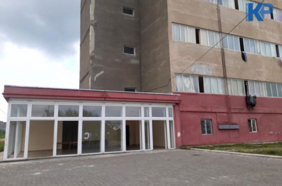 ქუთაისის სოციალურ საცხოვრისში პოლიციელებთან მომხდარ ჩხუბში მონაწილე პირი დააკავეს