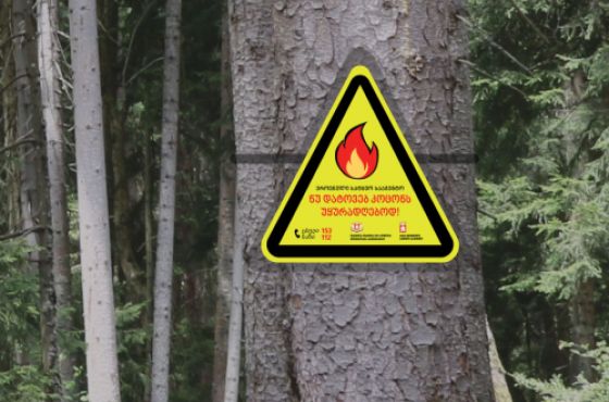 "გაზრდილია ტყის ხანძრების რისკები" - გარემოს დაცვის სამინისტრო მოსახლეობას წესების დაცვისკენ მოუწოდებს