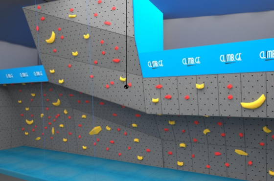 ქუთაისის მერია საცოცი კედლის მოსაწყობად ნახევარ მილიონზე მეტი ლარის დახარჯვას გეგმავს