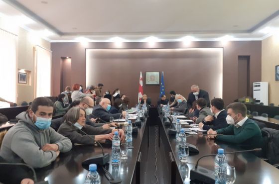 „ნამახვანჰესი აუცილებელია ჩვენი ენერგოდამოუკიდებლობისთვის“ - ნათია თურნავა 