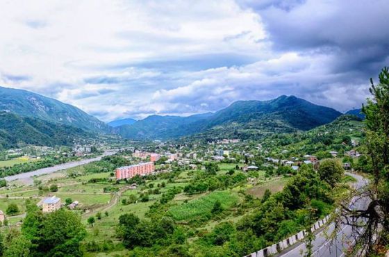 ამბროლაურის მუნიციპალიტეტში ცოფის სამი შემთხვევა დაფიქსირდა