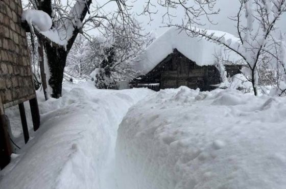იმერეთში, თოვლის საფარისგან დაზიანებული სახლების აღწერა და ზარალის დათვლა მიმდინარეობს