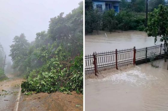 მეწყერი გურიაში - სხვადასხვა სოფელში დაკარგულ ადამიანებს ეძებენ