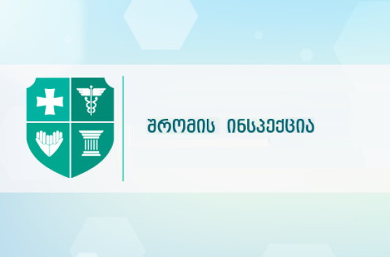 შრომის ინსპექციის სამსახური ექიმებისა და ექთნების მინიმალური ხელფასის საკითხს შეისწავლის