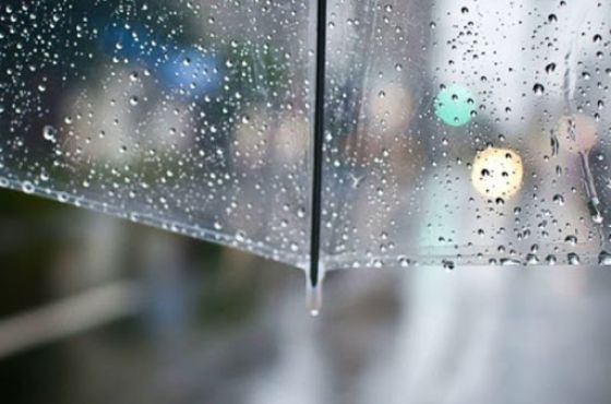 როგორი ამინდია მოსალოდნელი დასავლეთ საქართველოში კვირის განმავლობაში