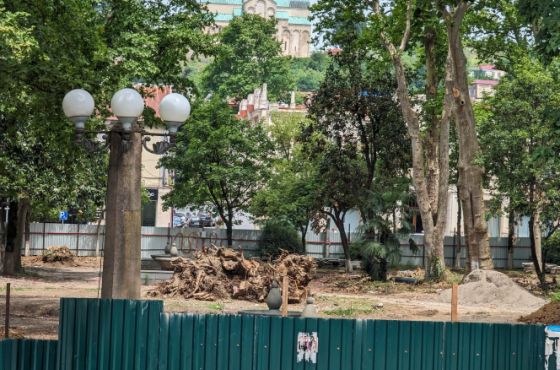 რატომ მოჭრეს ქუთაისის ბულვარში ხეები - რა წერია საექსპერტო დასკვნის დოკუმენტში