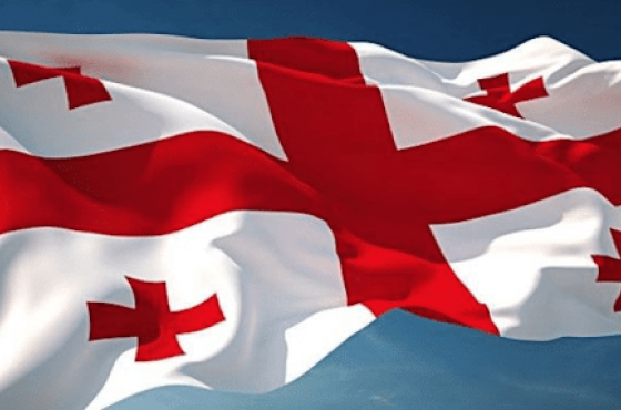 სკოლებისა და საბავშვო ბაღების შენობებზე  დროშის მუდმივად აღმართვა სავალდებულო იქნება 