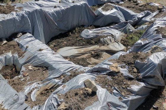 გელათის სამონასტრო კომპლექსში აღმოჩენილი ისტორიული მარანი ნადგურდება