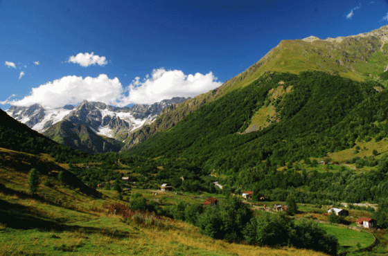 ოჯახი, რომელიც სოფელს 30 წლის შემდეგ დაუბრუნდა