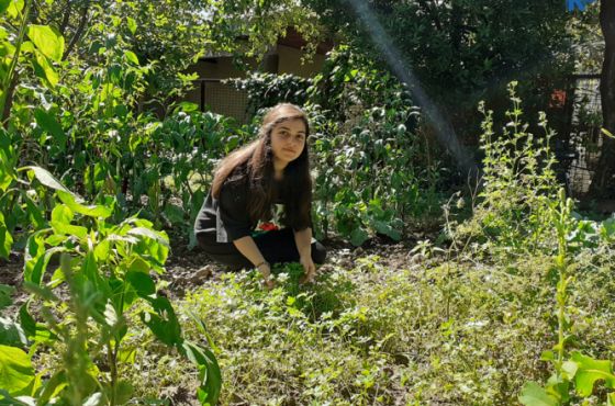 პანდემია, როგორც ინსპირაცია – 19 წლის გოგოს რეალობად ქცეული იდეა