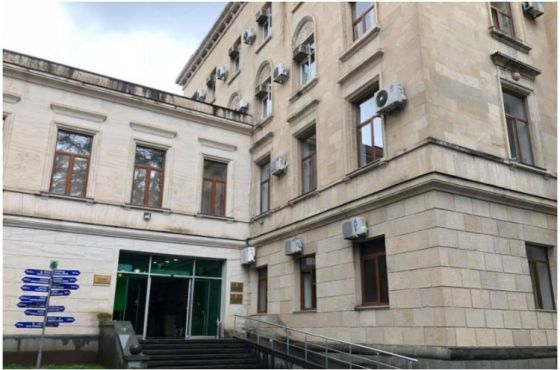 ქუთაისის მერის მრჩეველთა ახალგაზრდული საბჭოს  წევრთა ნაწილი რუსულ კანონს ემიჯნება