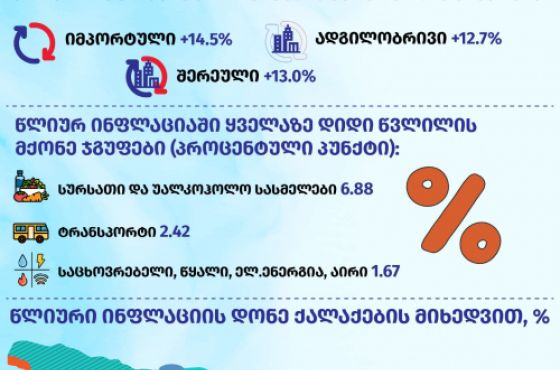 საქართველოში წლიურმა ინფლაციამ 13,3% შეადგინა, შარშან ამ დროს - 7.7% იყო