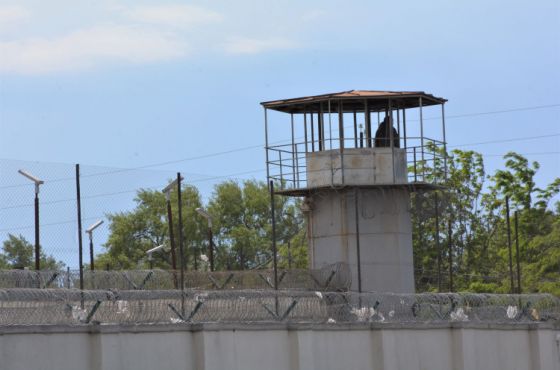 ქუთაისის N2 ციხეში პატიმარი მე-5 დღეა შიმშილობს