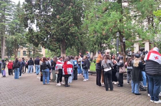 "ვტოვებთ აუდიტორიებს" - სტუდენტების მასობრივი გაფიცვა 