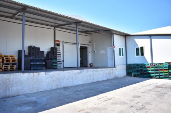  ქუთაისში სამაცივრე მეურნეობა მოეწყო