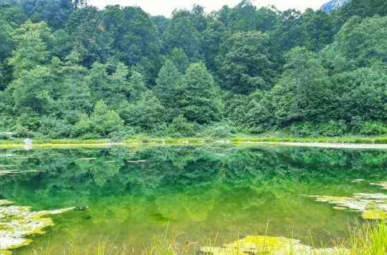 საჩხერეში ახალი დაცული ტერიტორია იქმნება 