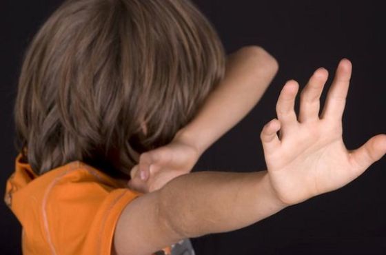 პატიმრობა მიესაჯა კაცს, რომელმაც ბავშვზე ხილის უნებართვოდ მოკრეფის გამო იძალადა - PHR