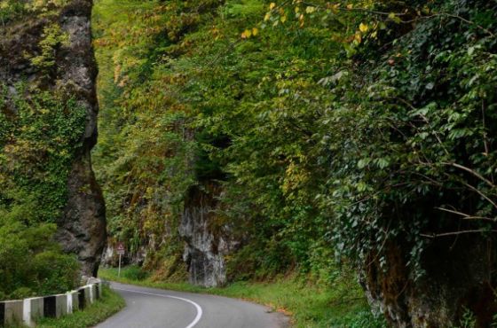 ბაღდათი-კურორტი საირმის დამაკავშირებელი გზის რეაბილიტაცია დაიწყო