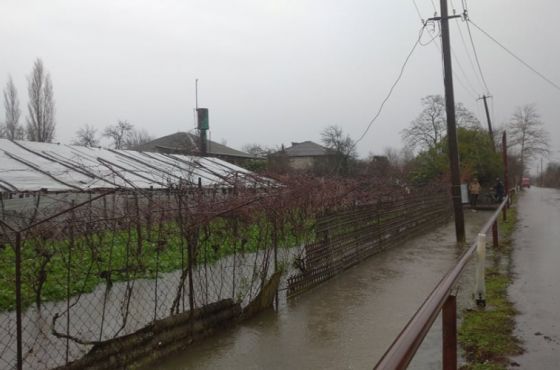 იმერეთში წყალდიდობამ მოსახლეობა დააზარალა