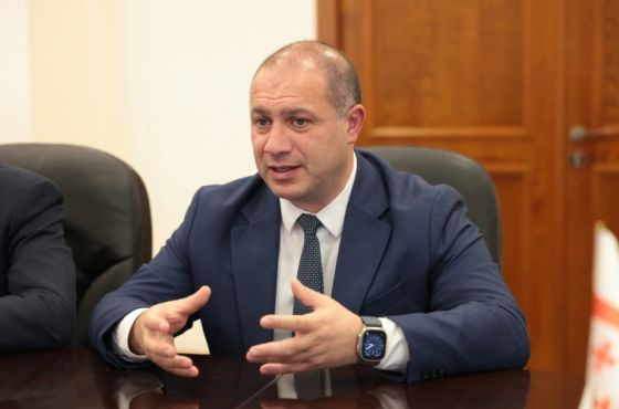 "თბილისსა და ქუთაისში უნდა იყოს ყველა ფაკულტეტი, ყველა მიმართულება, ოღონდ ეს უნდა იყოს პროფილურ უნივერსიტეტებში"
