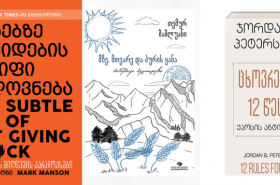 რას კითხულობდნენ ქართველები 2021 წელს